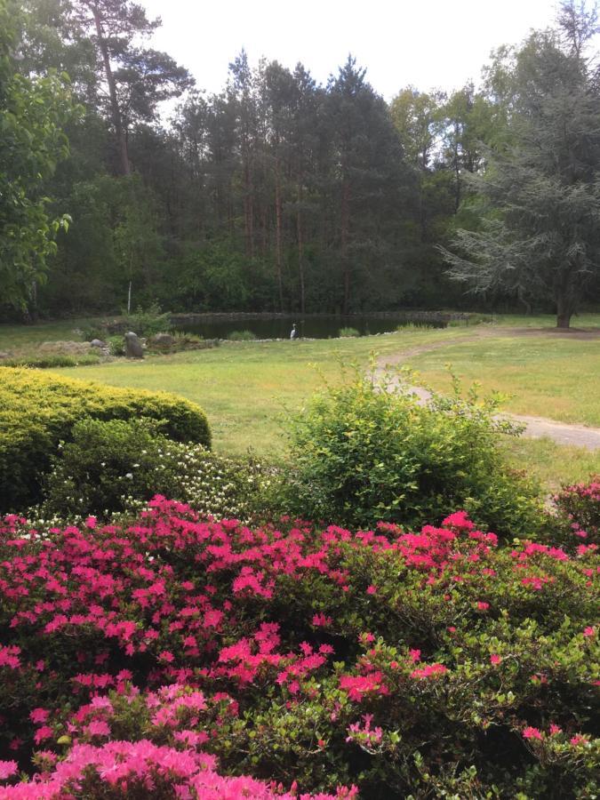 Haus Am Parc Hotel Meppen Buitenkant foto